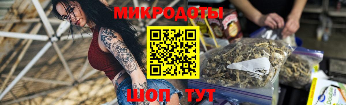 Галлюциногенные грибы Psilocybine cubensis  Вход с VPN  Бор 